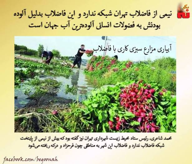 12642647_550627638430813_2273193762191948888_n