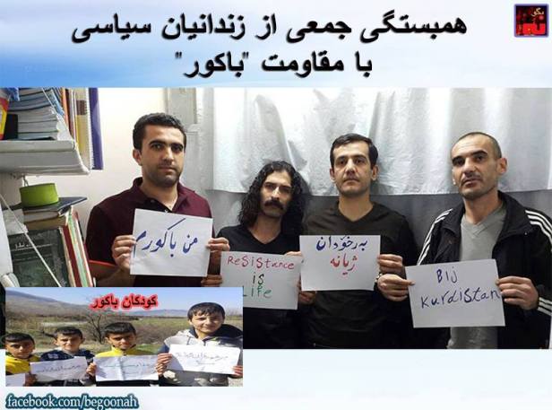 12642828_552617108231866_8770411522283363740_n