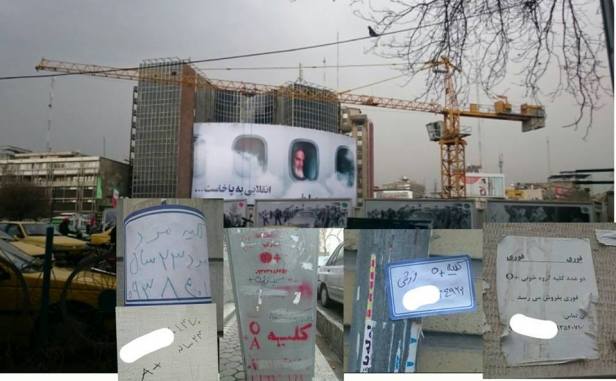 12669524_553482748145302_5512684469636202564_n