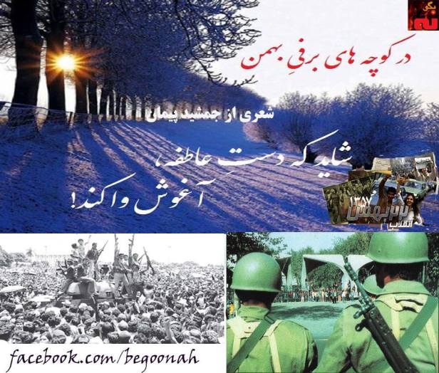 12705317_553928918100685_620738292085113310_n