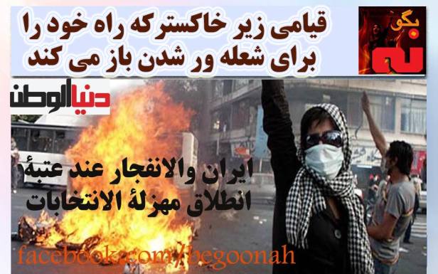 12705363_553900438103533_14969998759948411_n