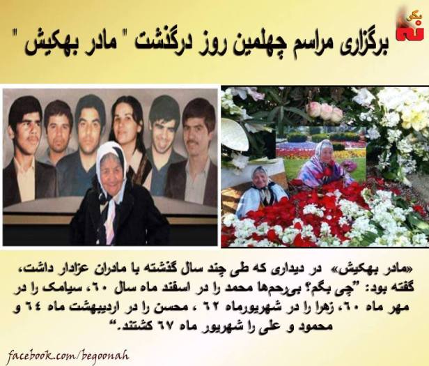 12715450_554985211328389_4074006900052648737_n