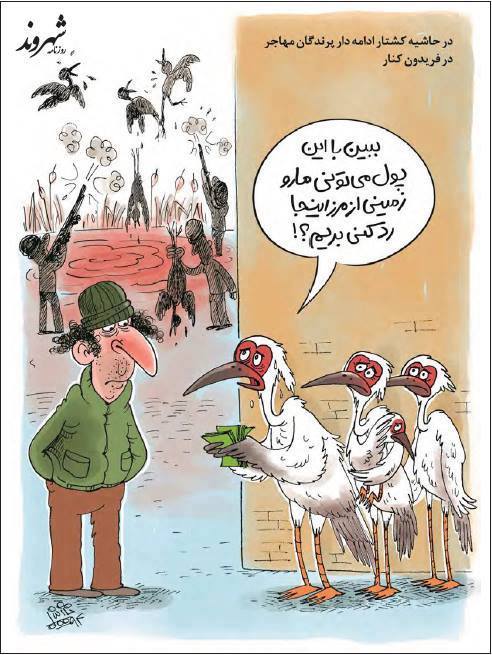 12715525_553168001510110_4715528969280301749_n