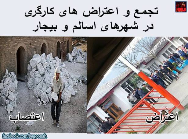 12717229_555786177914959_6584187068063826548_n