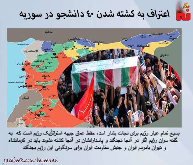 12733507_557530097740567_7855966234431903629_n