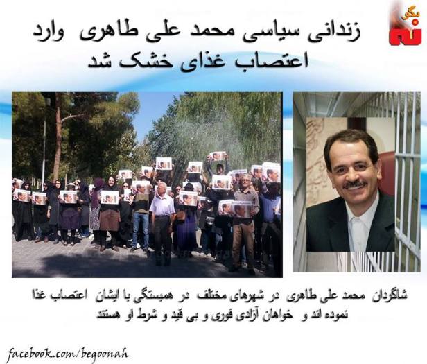 12741861_557650261061884_5018340482928792597_n