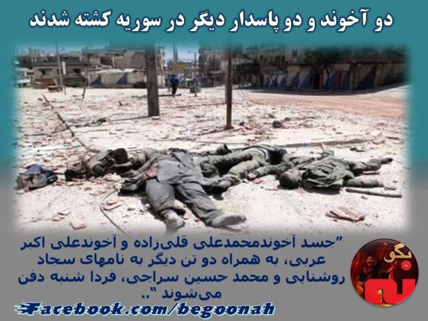 12743501_557334354426808_43991625001576366_n