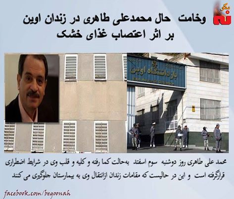 12745680_558685660958344_8886250126696627490_n