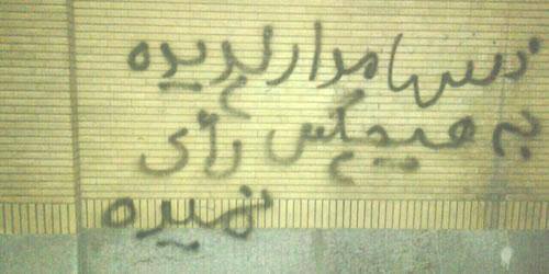 12799023_559891407504436_4028311836440464257_n