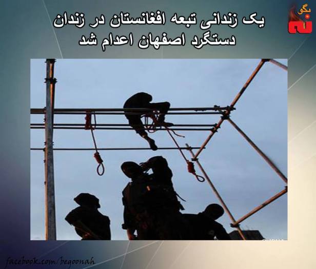 942797_551945951632315_5374171687836063875_n