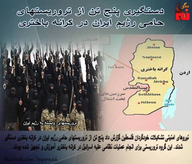 943936_551687068324870_4979080972168397049_n