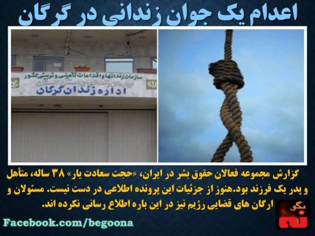 12798823_563852450441665_2841528404453263580_n