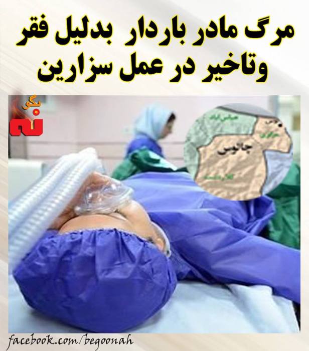 12814741_561387277354849_5526978532080543060_n