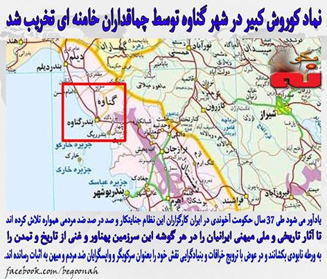 12932731_575069019320008_5504206247009019778_n