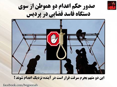 1508165_568780259948884_7870911330606508440_n