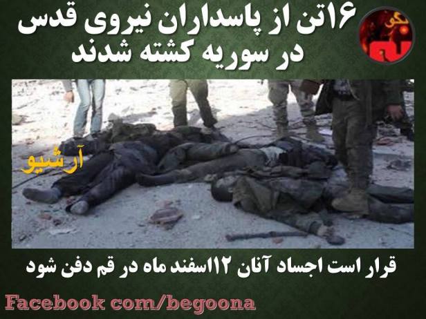 6793_561518140675096_6515102449430044476_n