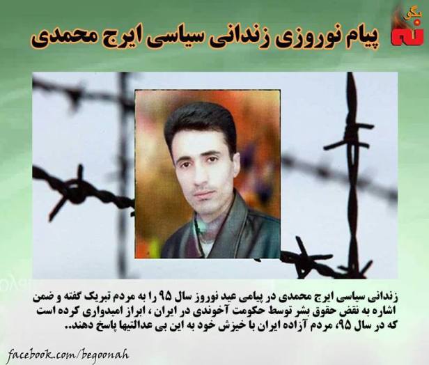 995344_572247519602158_3711557702350389217_n