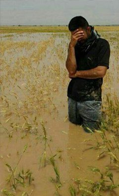 11246251_583271768499733_2296283357213873202_n