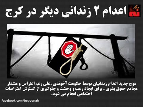 11416151_588563254637251_1861416406379134491_n