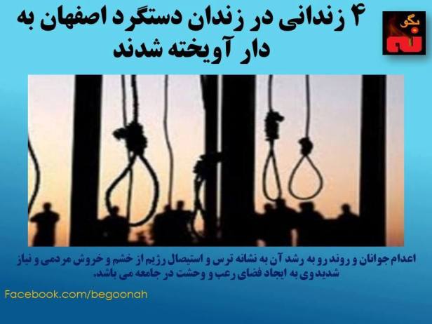 12994509_584503825043194_3901359596797475109_n