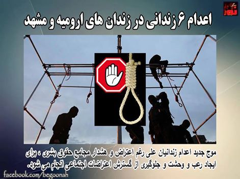 13055389_584907871669456_5829127456123929451_n