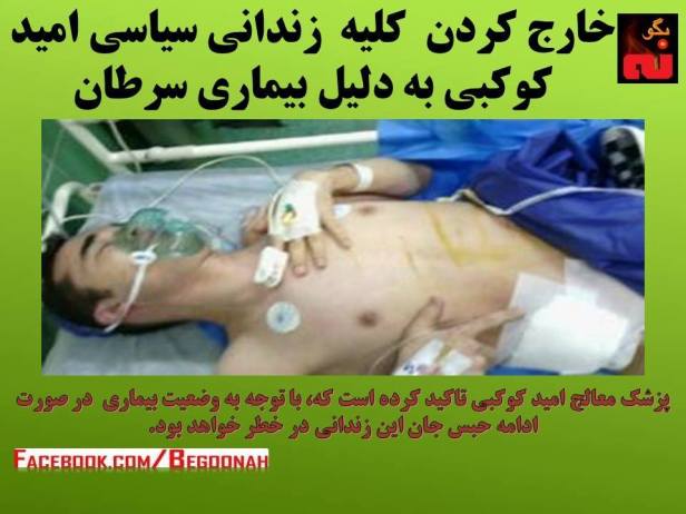 13062270_585253754968201_824256079932322669_n