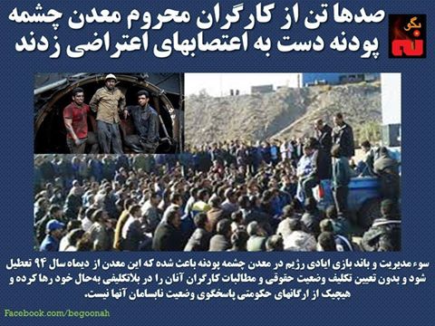 13083145_586531134840463_161651918275861693_n