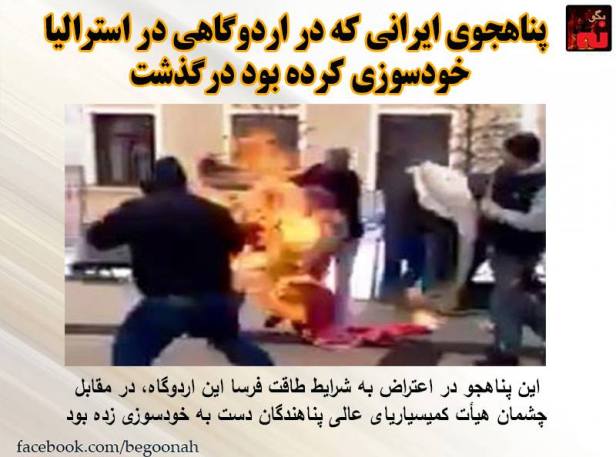 13095910_588646021295641_4903986265682492469_n