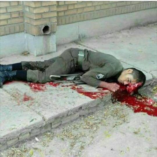 13102844_588369331323310_1887608999297245418_n