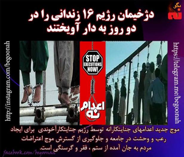 10632809_599669046860005_7076588230868891580_n