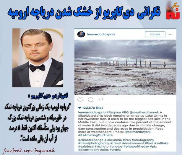 13133093_591856137641296_68422973008023357_n