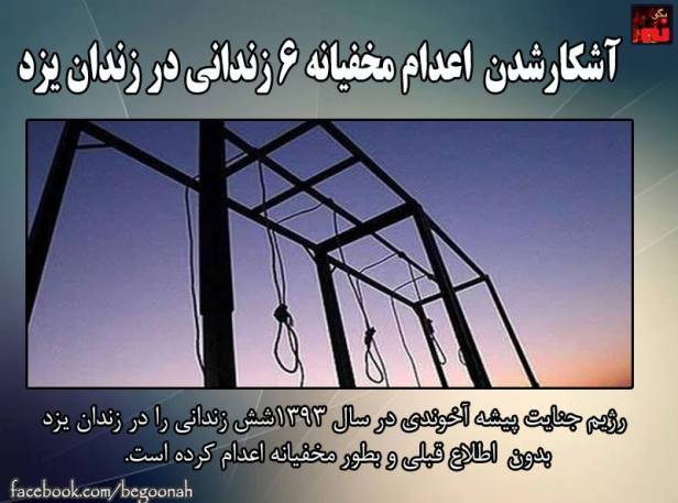 13133113_591455624348014_2237259418488256254_n