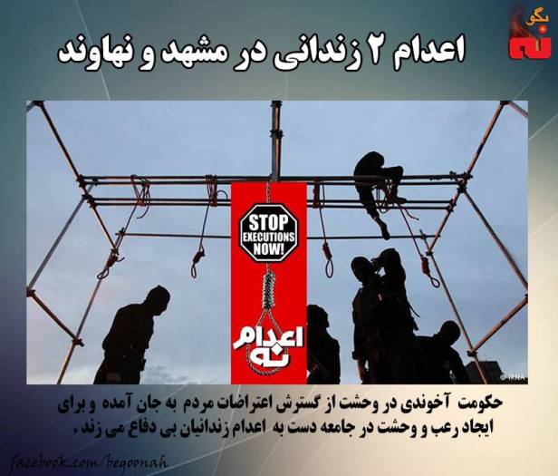 13133250_590219067805003_8838762124217806654_n