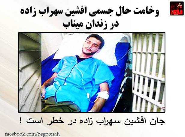 13164486_595316897295220_4349753871017012785_n