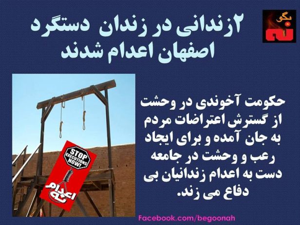 13173940_591602341000009_8835624496284075314_n