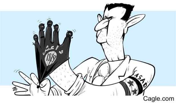 13177136_594416554051921_8210497319170378263_n