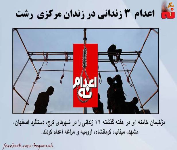 13226823_595196487307261_5838933507476555626_n