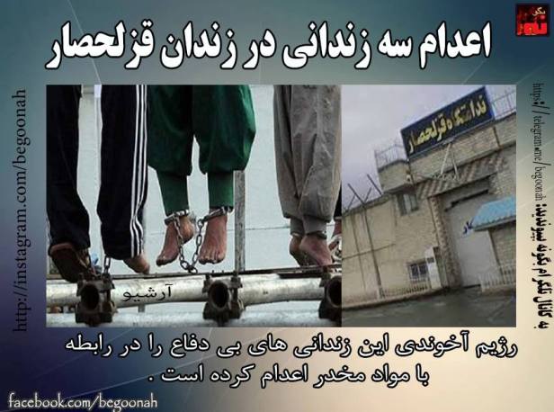 13240124_599231576903752_2997608480939557615_n