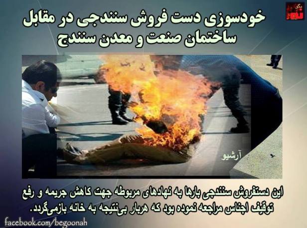 13240663_595705200589723_2921162155753245612_n