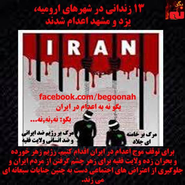 13241335_596100370550206_7201688473990794631_n