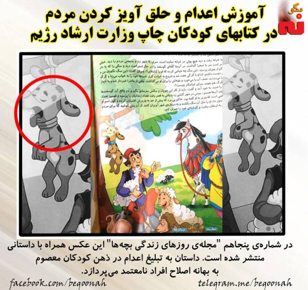 13267795_599000070260236_3838433146801238321_n