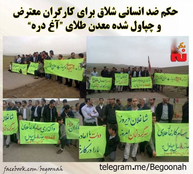 13308351_599614576865452_2935627358886245206_o