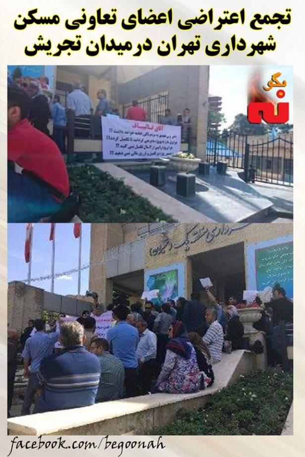 13312688_599582496868660_1745687991736802048_n