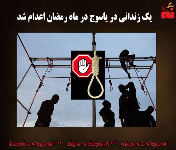 13407112_608705209289722_5731871441287356189_n