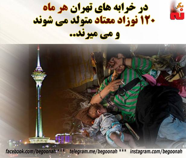 13411700_606142926212617_8066713123543916497_o