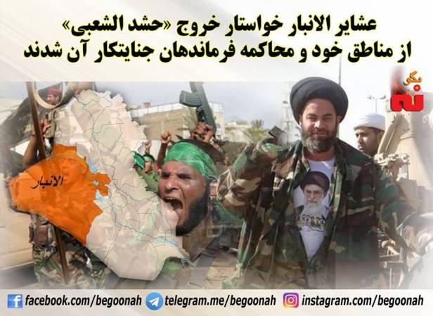 13432152_610483112445265_2261015092368863827_n