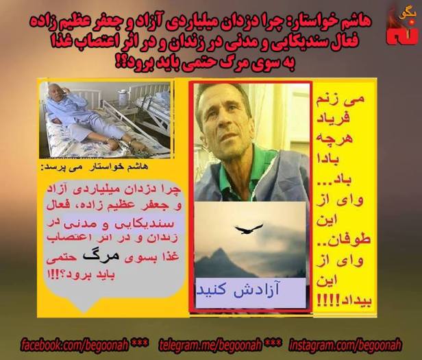 13435573_608694429290800_737838187041372072_n