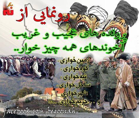 13495050_610145982478978_5004397112465760080_n