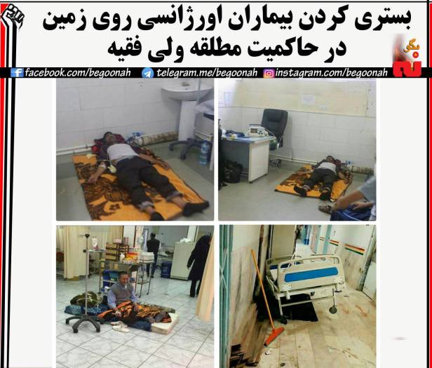 13661968_628059067354336_2160129186325599738_o