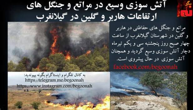 13729163_624422164384693_1033278910422472542_n